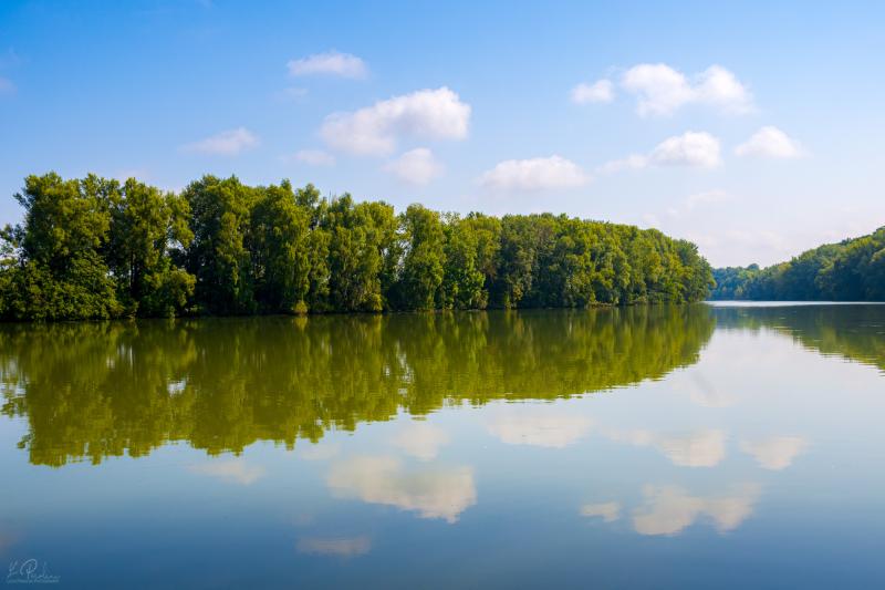 Tree reflections on the calm water of the Isar river with blue sky and a few white clouds