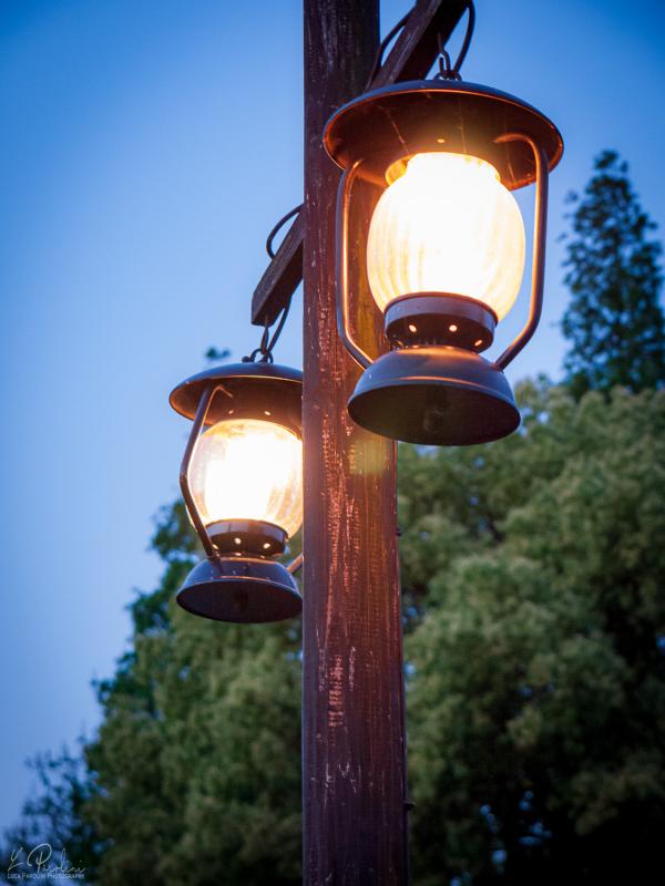 Traditional light pole of wood with tree in the background and blue sky at evening