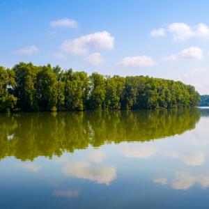 Tree reflections on the calm water of the Isar river with blue sky and a few white clouds