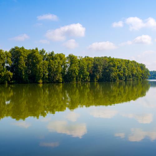 Tree reflections on the calm water of the Isar river with blue sky and a few white clouds