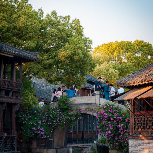 Stone bridge in Wuzhen covered with flower in a summer day with blue sky and green tree on the side