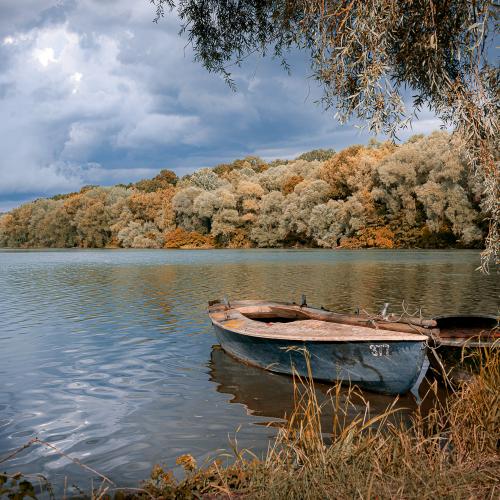 Strong blue clouds and a calm river surrounded by trees with yellow and brown leaves. An old boat made of wood is shown in the middle ground